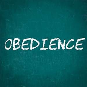obedience-article-pic obedience-article-pic